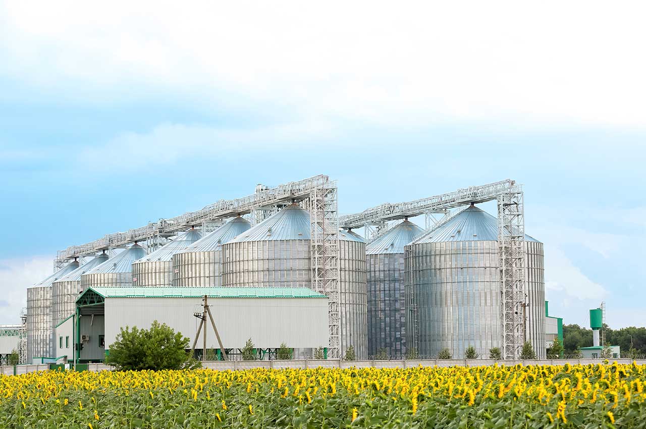 How Galvanised Steel Grain Silos Protect Stored Grain from Moisture and Pests